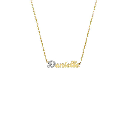THE SINGLE LETTER CUT NAMEPLATE NECKLACE