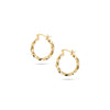 THE BOLD TWISTED HOOPS