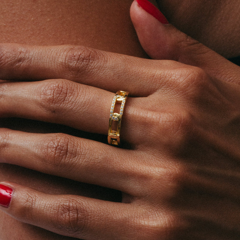 THE PAVE CHAIN RING