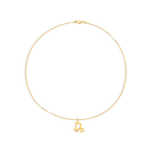 capricorn zodiac sign pendant necklace