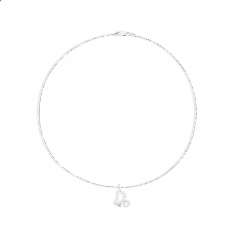 silver capricorn zodiac sign pendant necklace