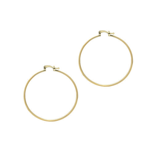 THE M ESSENTIAL HOOPS